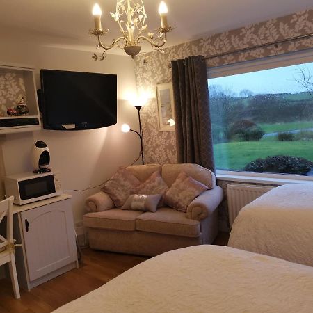 Meadow View B&B แบลลีมีนา ภายนอก รูปภาพ