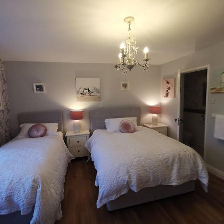 Meadow View B&B แบลลีมีนา ภายนอก รูปภาพ