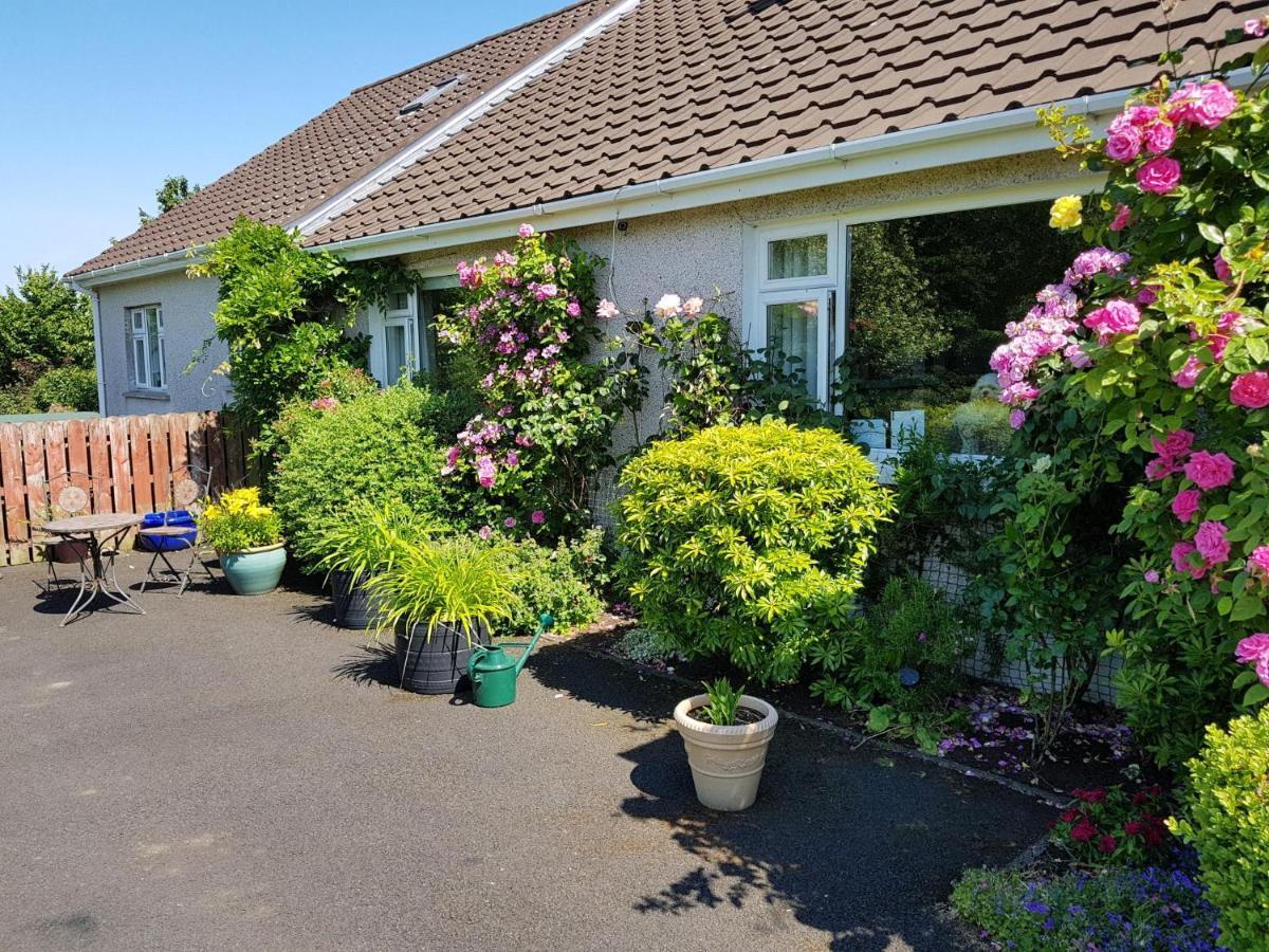 Meadow View B&B แบลลีมีนา ภายนอก รูปภาพ